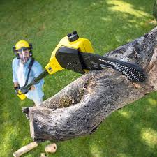 Lawn Watering Services in Grayson, KY