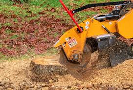 Best Lot and Land Clearing  in Grayson, KY